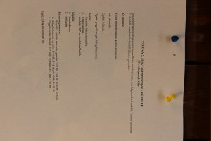 IMG 0868